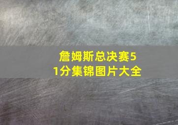 詹姆斯总决赛51分集锦图片大全