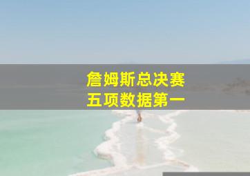 詹姆斯总决赛五项数据第一