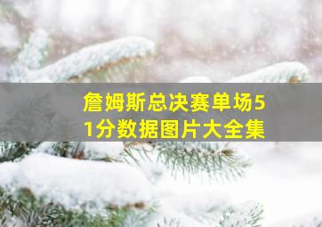 詹姆斯总决赛单场51分数据图片大全集