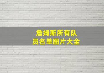 詹姆斯所有队员名单图片大全