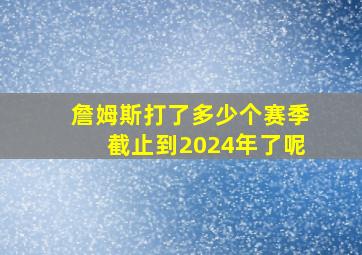 詹姆斯打了多少个赛季截止到2024年了呢