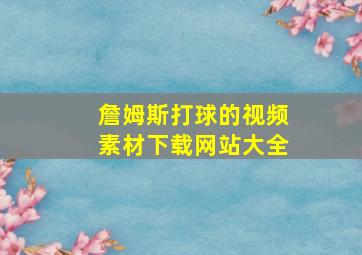 詹姆斯打球的视频素材下载网站大全