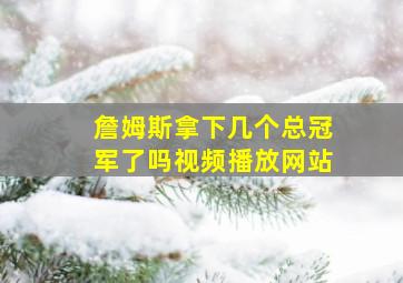 詹姆斯拿下几个总冠军了吗视频播放网站