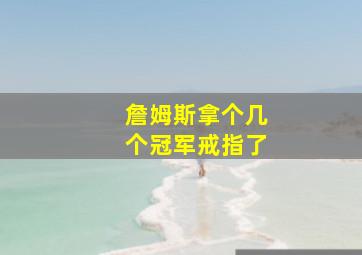 詹姆斯拿个几个冠军戒指了