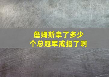 詹姆斯拿了多少个总冠军戒指了啊