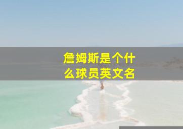 詹姆斯是个什么球员英文名