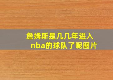 詹姆斯是几几年进入nba的球队了呢图片