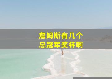 詹姆斯有几个总冠军奖杯啊