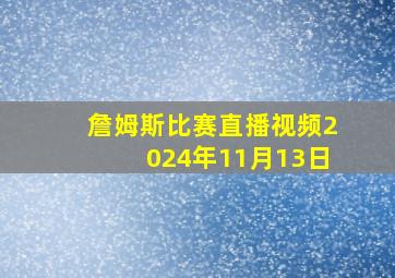 詹姆斯比赛直播视频2024年11月13日