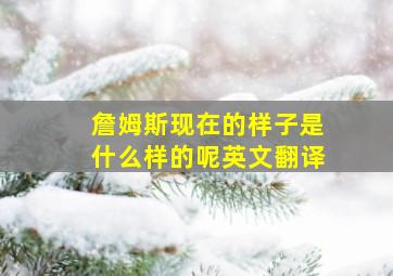 詹姆斯现在的样子是什么样的呢英文翻译