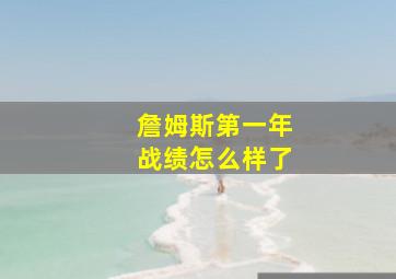 詹姆斯第一年战绩怎么样了