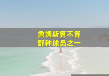 詹姆斯算不算野种球员之一