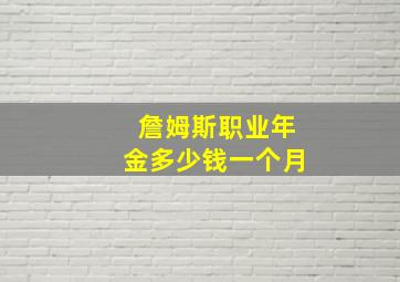 詹姆斯职业年金多少钱一个月