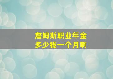 詹姆斯职业年金多少钱一个月啊