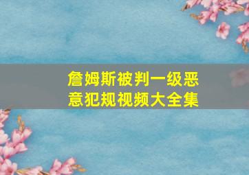 詹姆斯被判一级恶意犯规视频大全集