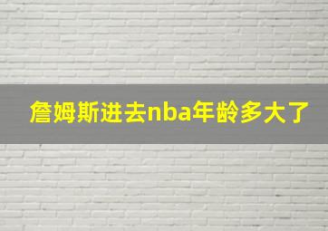 詹姆斯进去nba年龄多大了