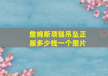 詹姆斯项链吊坠正版多少钱一个图片