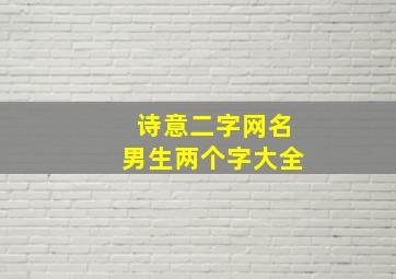 诗意二字网名男生两个字大全