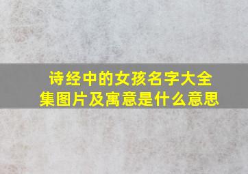 诗经中的女孩名字大全集图片及寓意是什么意思