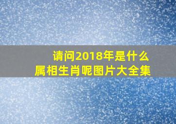 请问2018年是什么属相生肖呢图片大全集