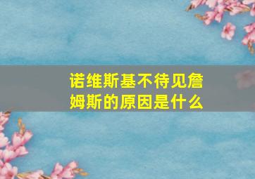 诺维斯基不待见詹姆斯的原因是什么