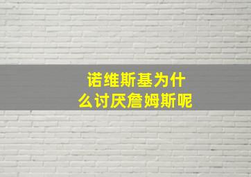 诺维斯基为什么讨厌詹姆斯呢