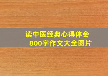 读中医经典心得体会800字作文大全图片