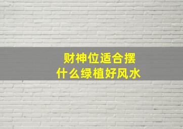 财神位适合摆什么绿植好风水