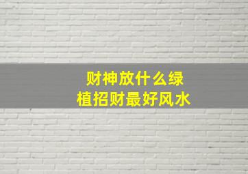 财神放什么绿植招财最好风水