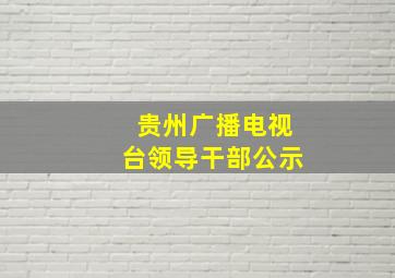 贵州广播电视台领导干部公示