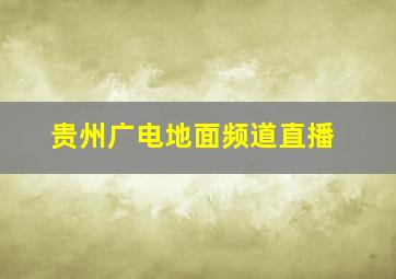 贵州广电地面频道直播