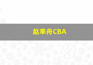 赵率舟CBA