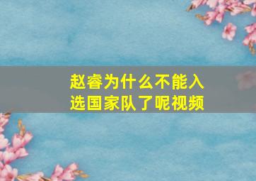 赵睿为什么不能入选国家队了呢视频