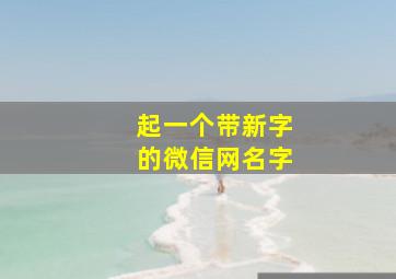 起一个带新字的微信网名字