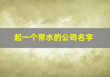 起一个带水的公司名字