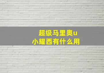 超级马里奥u小耀西有什么用