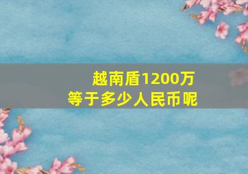 越南盾1200万等于多少人民币呢