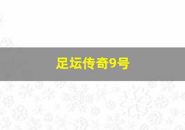 足坛传奇9号