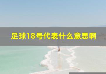 足球18号代表什么意思啊