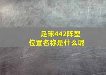 足球442阵型位置名称是什么呢