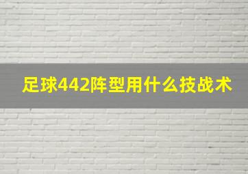 足球442阵型用什么技战术