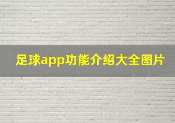 足球app功能介绍大全图片