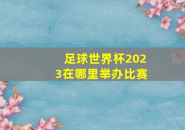 足球世界杯2023在哪里举办比赛