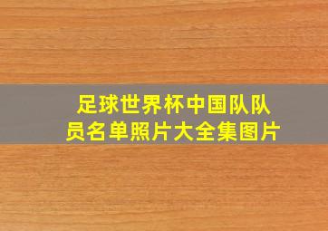 足球世界杯中国队队员名单照片大全集图片