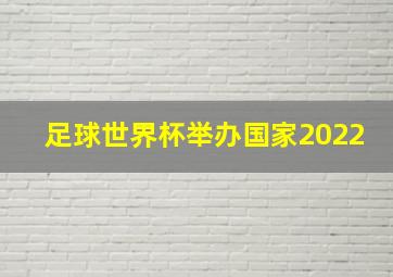 足球世界杯举办国家2022