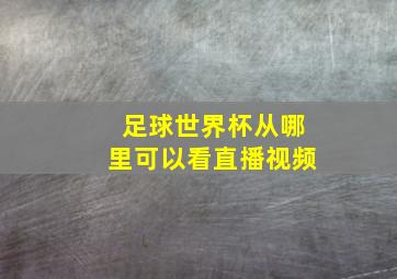 足球世界杯从哪里可以看直播视频