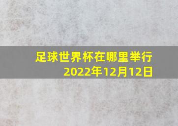 足球世界杯在哪里举行2022年12月12日