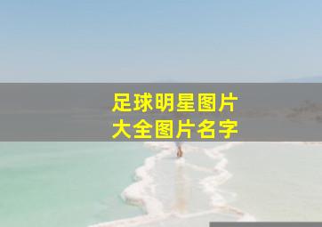 足球明星图片大全图片名字