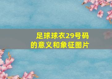 足球球衣29号码的意义和象征图片