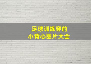 足球训练穿的小背心图片大全